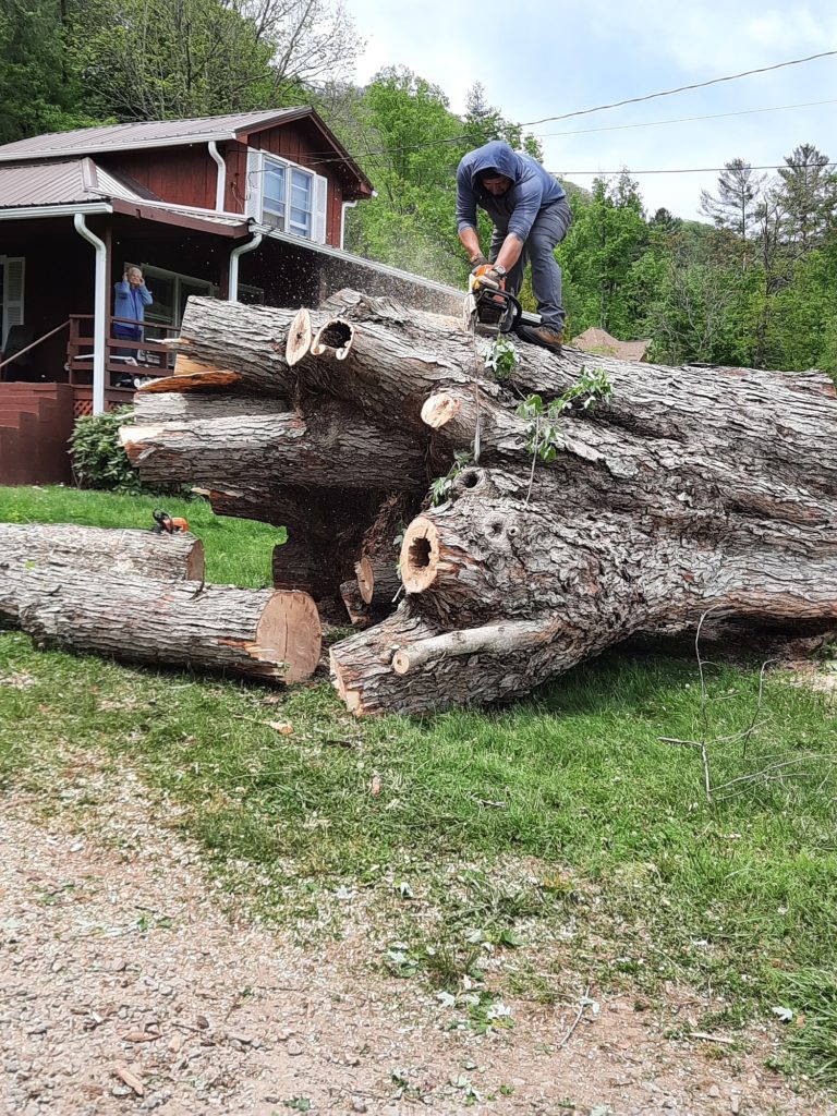 Romeros Clearcut Tree Service